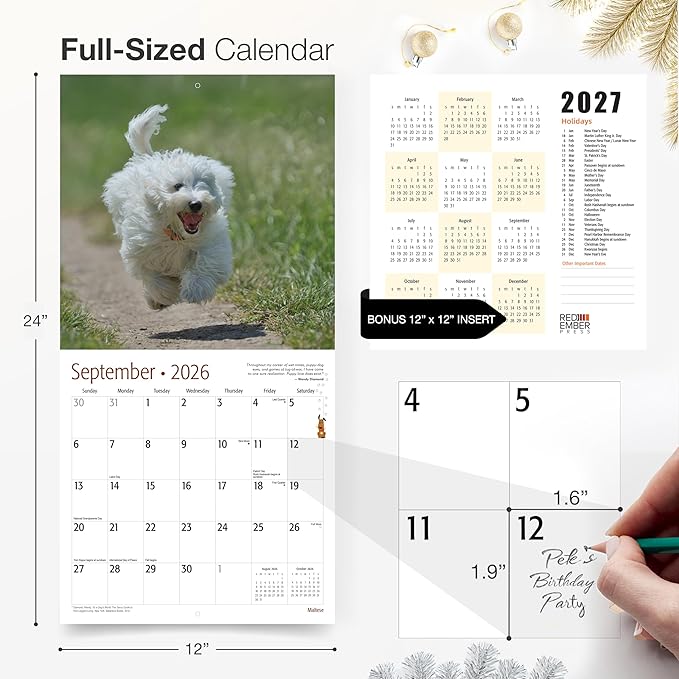 RED EMBER Maltese 2026 Wall Calendar 12 Month | 12" x 24" Open | Thick & Sturdy Paper | Holiday Gift | Cute Puppy Dog Calendar 2026