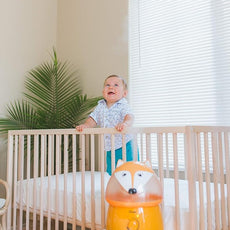 Crane 1 Gallon Animal Cool Mist Ultrasonic Humidifier for Kids' Bedroom and Nursery, Automatic Shut off, Adjustable Output, Fox