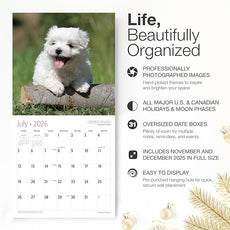 RED EMBER Maltese Puppies 2026 Wall Calendar 12 Month | 12