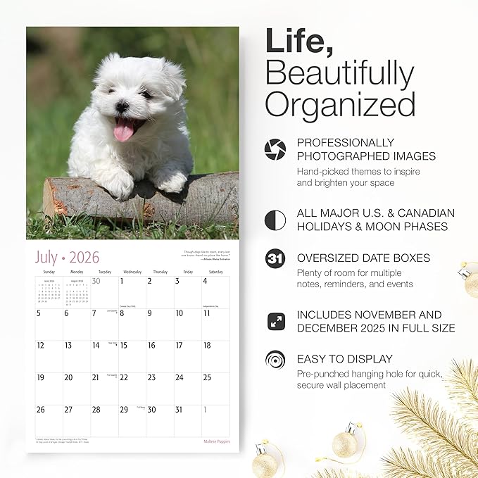 RED EMBER Maltese Puppies 2026 Wall Calendar 12 Month | 12" x 24" Open | Thick & Sturdy Paper | Holiday Gift | Cute Puppy Dog Calendar 2026