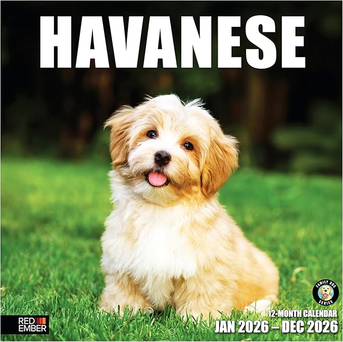 RED EMBER Havanese 2026 Wall Calendar 12 Month | 12" x 24" Open | Thick & Sturdy Paper | Holiday Gift | Cute Puppy Dog Calendar 2026