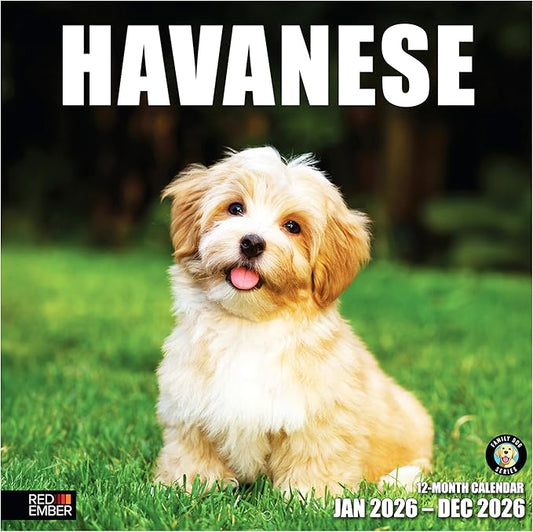 RED EMBER Havanese 2026 Wall Calendar 12 Month | 12" x 24" Open | Thick & Sturdy Paper | Holiday Gift | Cute Puppy Dog Calendar 2026
