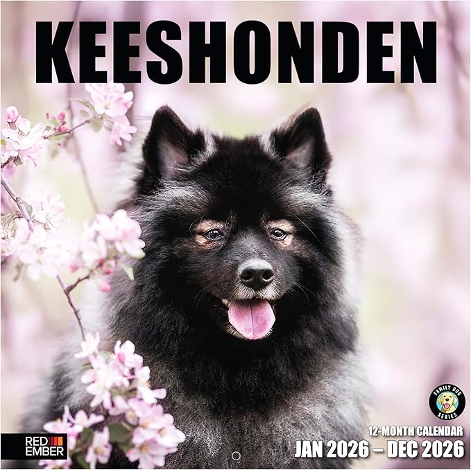 RED EMBER Keeshonden 2026 Wall Calendar 12 Month | 12" x 24" Open | Thick & Sturdy Paper | Holiday Gift | Cute Puppy Dog Calendar 2026