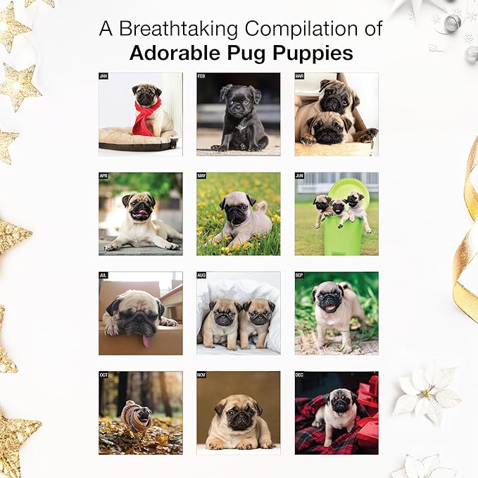 RED EMBER Pug Puppies 2026 Mini Wall Calendar 12 Month | 7" x 14" Open | Thick & Sturdy Paper | Holiday Gift | Cute Puppy Dog Calendar 2026