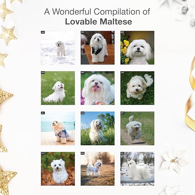 RED EMBER Maltese 2026 Wall Calendar 12 Month | 12" x 24" Open | Thick & Sturdy Paper | Holiday Gift | Cute Puppy Dog Calendar 2026