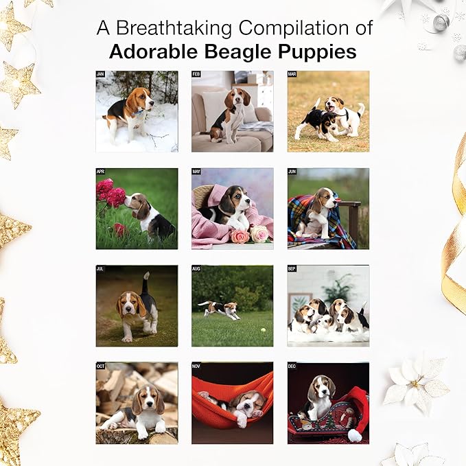 RED EMBER Beagle Puppies 2026 Mini Wall Calendar 12 Month | 7" x 14" Open | Thick & Sturdy Paper | Holiday Gift | Cute Puppy Dog Calendar 2026