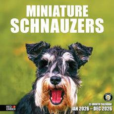 RED EMBER Miniature Schnauzers 2026 Wall Calendar 12 Month | 12