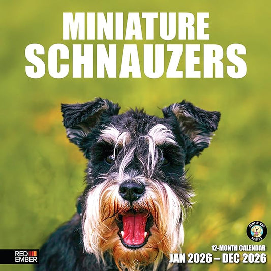 RED EMBER Miniature Schnauzers 2026 Wall Calendar 12 Month | 12" x 24" Open | Thick & Sturdy Paper | Holiday Gift | Cute Puppy Dog Calendar 2026