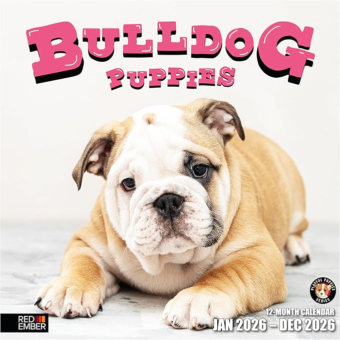RED EMBER Bulldog Puppies 2026 Wall Calendar 12 Month | 12" x 24" Open | Thick & Sturdy Paper | Holiday Gift | Cute Puppy Dog Calendar 2026
