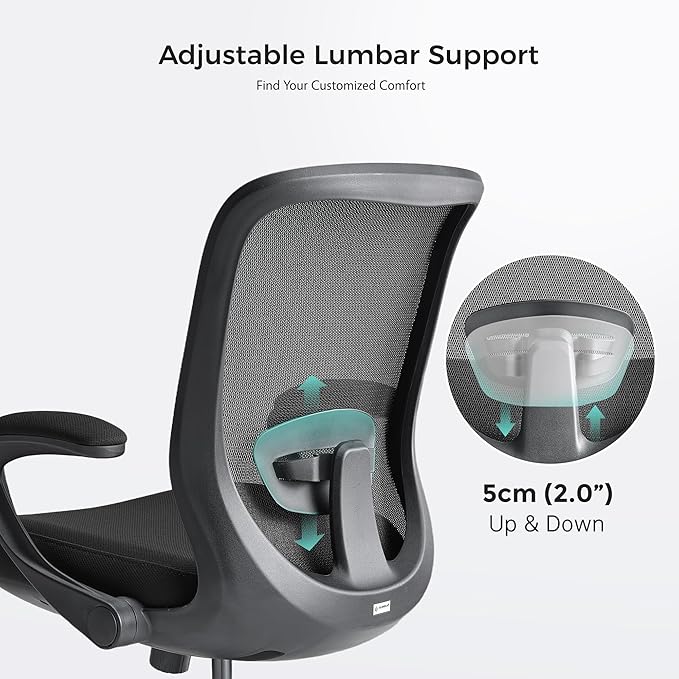 EUREKA ERGONOMIC Armis Ergonomic Office Chair with Back Support Flip up Arms, Home Office Desk Chair for Space Saving, Black, Breathable Backrest Mesh