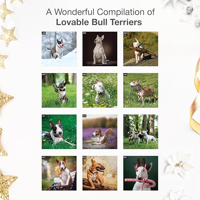 RED EMBER Bull Terriers 2026 Wall Calendar 12 Month | 12" x 24" Open | Thick & Sturdy Paper | Holiday Gift | Cute Puppy Dog Calendar 2026