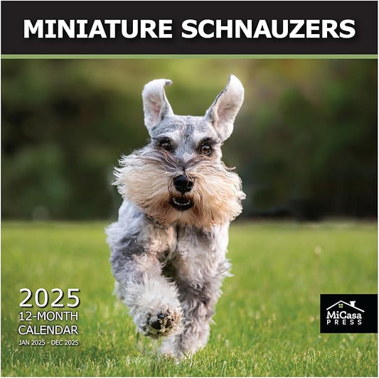 MICASA PRESS - Miniature Schnauzers 2025 Wall Calendar 12 Month | 12" x 24" Open | Thick & Sturdy Paper | Giftable | Calendar 2025