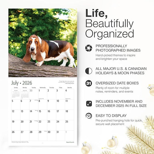 RED EMBER Basset Hounds 2026 Wall Calendar 12 Month | 12" x 24" Open | Thick & Sturdy Paper | Holiday Gift | Cute Puppy Dog Calendar 2026