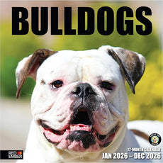 RED EMBER English and American Bulldogs 2026 Wall Calendar 12 Month | 12