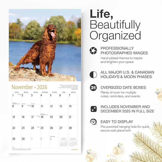 RED EMBER Irish Setters 2026 Wall Calendar 12 Month | 12" x 24" Open | Thick & Sturdy Paper | Holiday Gift | Cute Puppy Dog Calendar 2026