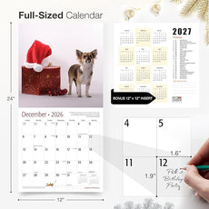 RED EMBER Longhaired Chihuahuas 2026 Wall Calendar 12 Month | 12