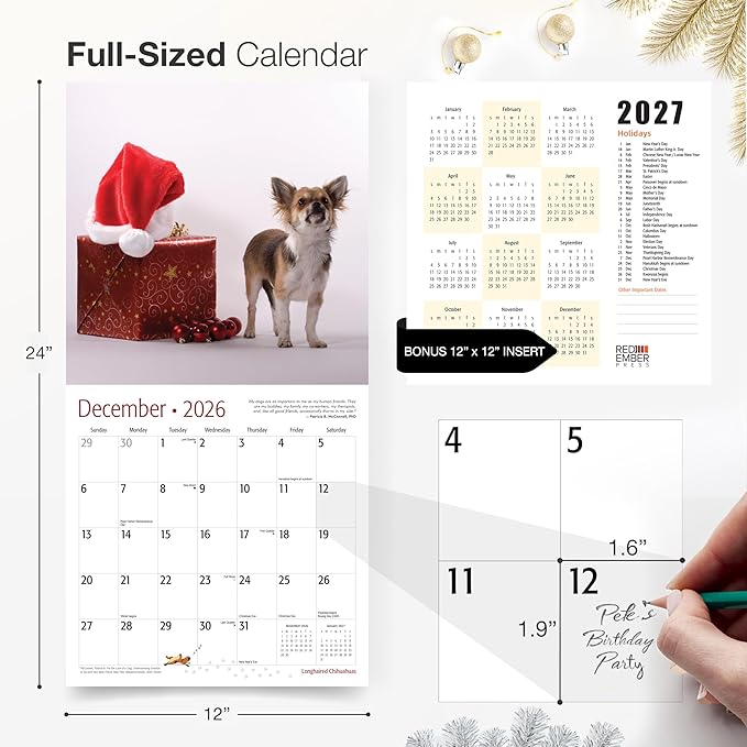 RED EMBER Longhaired Chihuahuas 2026 Wall Calendar 12 Month | 12" x 24" Open | Thick & Sturdy Paper | Holiday Gift | Cute Puppy Dog Calendar 2026