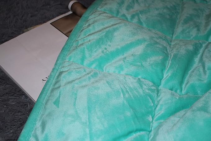 ALANSMA Reversible Weighted Blanket for All Season, Luxury Velvet, Warm and Cool, Adult 20Lb Green Weighted Blanket, Enjoy Sleeping Anywhere(Light Green,60"x80" 20lbs)
