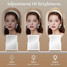 Lighted Vanity Mirror with Lights, Makeup Mirror with Light, 16.7