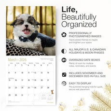RED EMBER Shih Tzu Puppies 2026 Wall Calendar 12 Month | 12