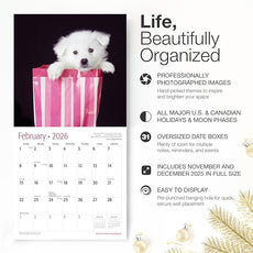 RED EMBER American Eskimo Dog Puppies 2026 Wall Calendar 12 Month | 12