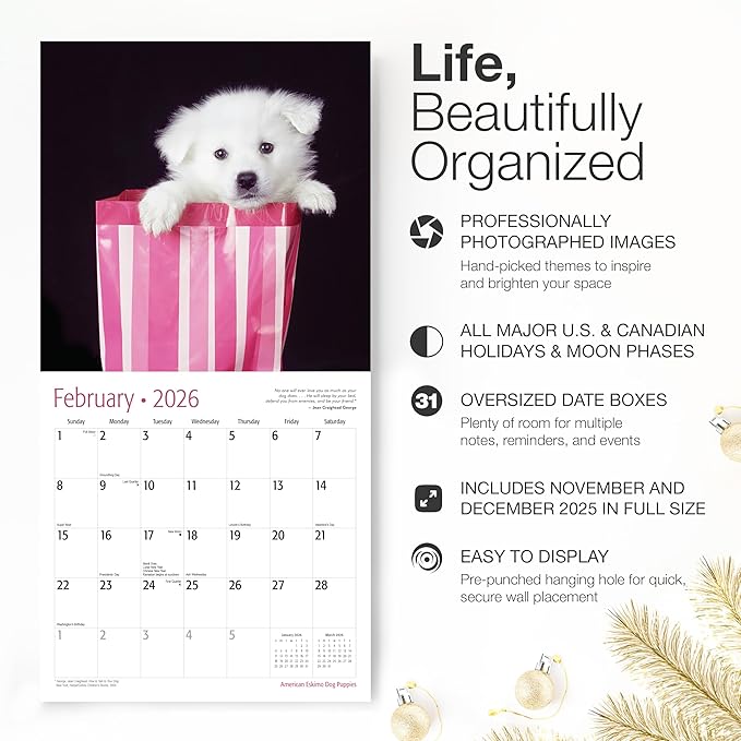 RED EMBER American Eskimo Dog Puppies 2026 Wall Calendar 12 Month | 12" x 24" Open | Thick & Sturdy Paper | Holiday Gift | Cute Puppy Dog Calendar 2026