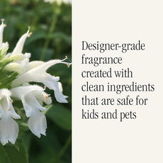 Pura x Studio McGee Home Scent Refill - Smart Air Diffuser - Up to 120-Hours of Luxury Fragrance per Refill - Home Essential - Clean & Safe Diffuser Fragrance - 2 Pack, White Bergamot