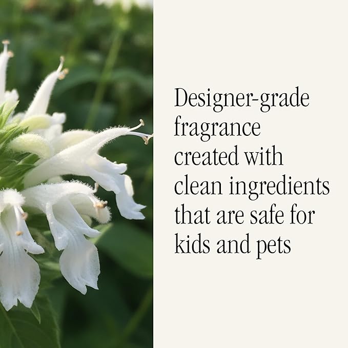 Pura x Studio McGee Home Scent Refill - Smart Air Diffuser - Up to 120-Hours of Luxury Fragrance per Refill - Home Essential - Clean & Safe Diffuser Fragrance - 2 Pack, White Bergamot