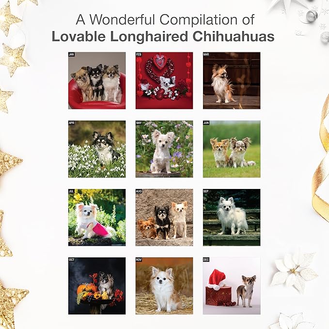 RED EMBER Longhaired Chihuahuas 2026 Wall Calendar 12 Month | 12" x 24" Open | Thick & Sturdy Paper | Holiday Gift | Cute Puppy Dog Calendar 2026