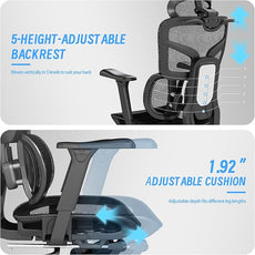 High-Back Ergonomic Mesh Office Chair, Modern Executive Desk Chair with 4D Armrests Computer Task Chair (Black Mesh Dual Lumbar Support)