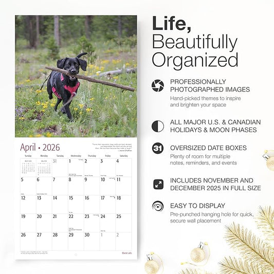 RED EMBER Black Labs 2026 Wall Calendar 12 Month | 12" x 24" Open | Thick & Sturdy Paper | Holiday Gift | Cute Labrador Retriever Puppy Dog Calendar 2026