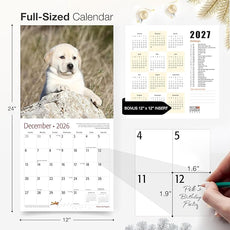 RED EMBER Yellow Lab Puppies 2026 Wall Calendar 12 Month | 12
