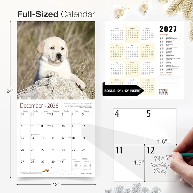 RED EMBER Yellow Lab Puppies 2026 Wall Calendar 12 Month | 12" x 24" Open | Thick & Sturdy Paper | Holiday Gift | Cute Labrador Retriever Puppy Dog Calendar 2026