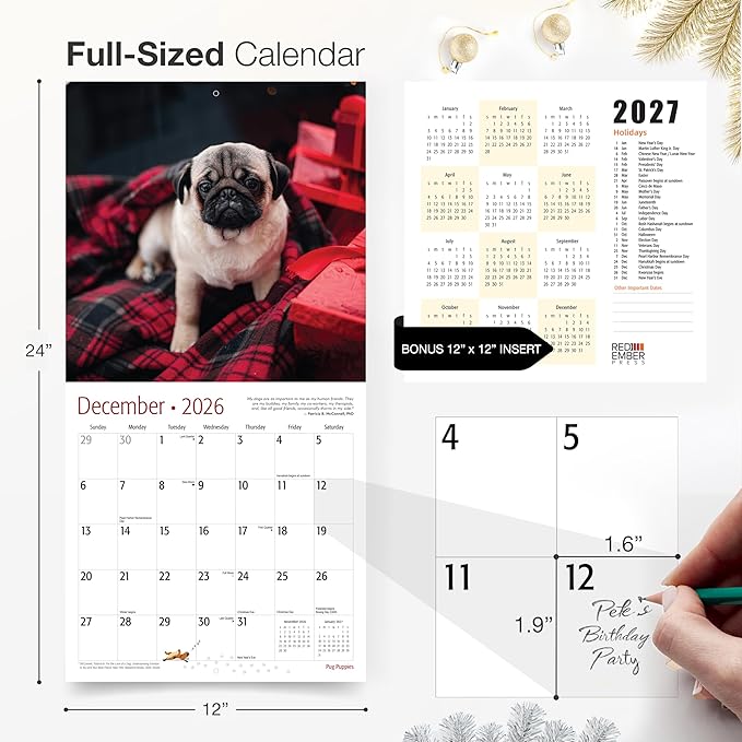 RED EMBER Pug Puppies 2026 Wall Calendar 12 Month | 12" x 24" Open | Thick & Sturdy Paper | Holiday Gift | Cute Puppy Dog Calendar 2026