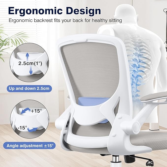 Ergonomic Office Chair, Mesh Computer Chairs with Lumbar Support, Swivel Desk Chair with Flip-up Arms and Adjustable Height, Light Gray