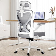 Ergonomic Office Chair - Computer Desk Chairs Comfy, Mesh High-Back Gaming Chair with Adjustable Lumbar Support, Executive Task Chair for Adults, Comfortable for Long Hours (Grey Silver)