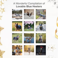 RED EMBER Blue Heelers 2026 Wall Calendar 12 Month | 12