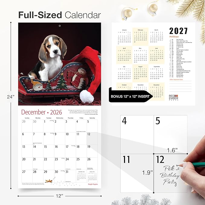 RED EMBER Beagle Puppies 2026 Wall Calendar 12 Month | 12" x 24" Open | Thick & Sturdy Paper | Holiday Gift | Cute Puppy Dog Calendar 2026