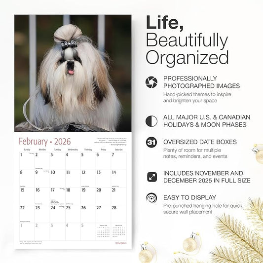 RED EMBER Lhasa Apsos 2026 Wall Calendar 12 Month | 12" x 24" Open | Thick & Sturdy Paper | Holiday Gift | Cute Puppy Dog Calendar 2026