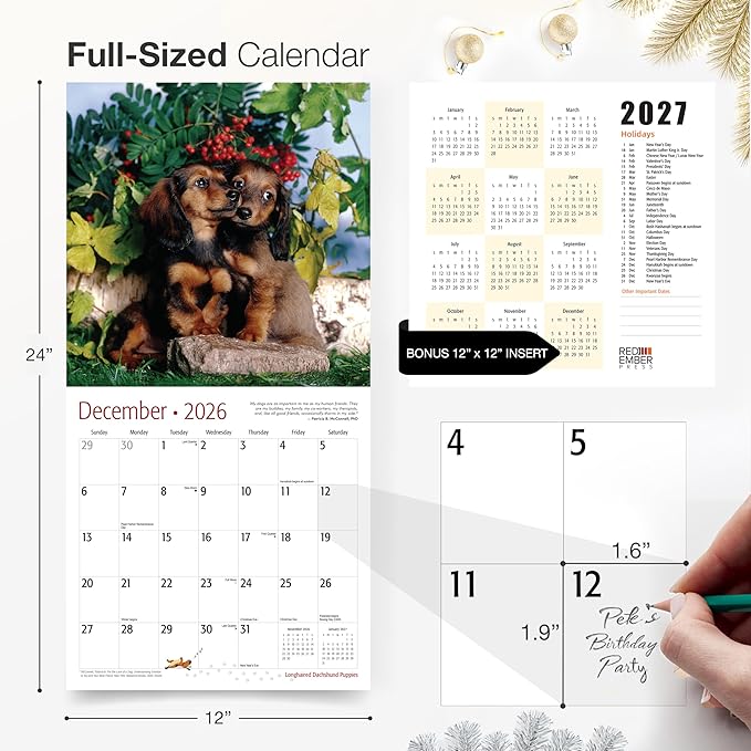 RED EMBER Longhaired Dachshund Puppies 2026 Wall Calendar 12 Month | 12" x 24" Open | Thick & Sturdy Paper | Holiday Gift | Cute Weiner Puppy Dog Calendar 2026