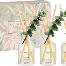 COCORRÍNA Eucalyptus Reed Diffuser Set of 3 - Lavender Eucalyptus, Black Forest, Clean Cotton Scents, 1.7 fl oz Each, Total 5.1 oz, Scented Oil Diffusers for Home & Office﻿