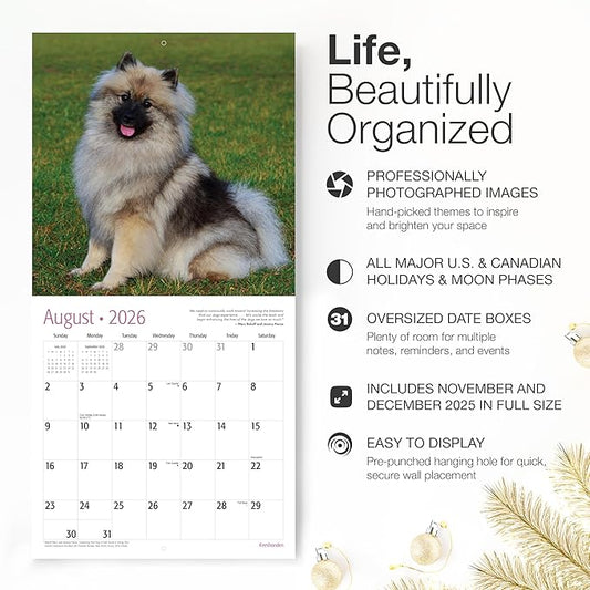 RED EMBER Keeshonden 2026 Wall Calendar 12 Month | 12" x 24" Open | Thick & Sturdy Paper | Holiday Gift | Cute Puppy Dog Calendar 2026
