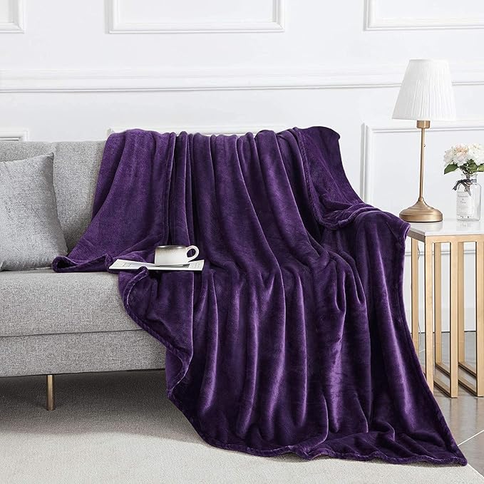 IR Imperial Rooms Fleece Blanket 12 Pack Twin Size 60 x 80 Inches - Super Soft Fluffy Throw Blanket for Sofa and Bed - Warm and Cozy Lightweight 400 GSM Microfiber Bed Throws Blankets (Twin, Purple)