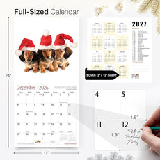 RED EMBER Longhaired Dachshunds 2026 Wall Calendar 12 Month | 12