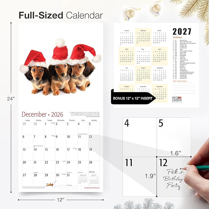 RED EMBER Longhaired Dachshunds 2026 Wall Calendar 12 Month | 12" x 24" Open | Thick & Sturdy Paper | Holiday Gift | Cute Puppy Weiner Dog Calendar 2026