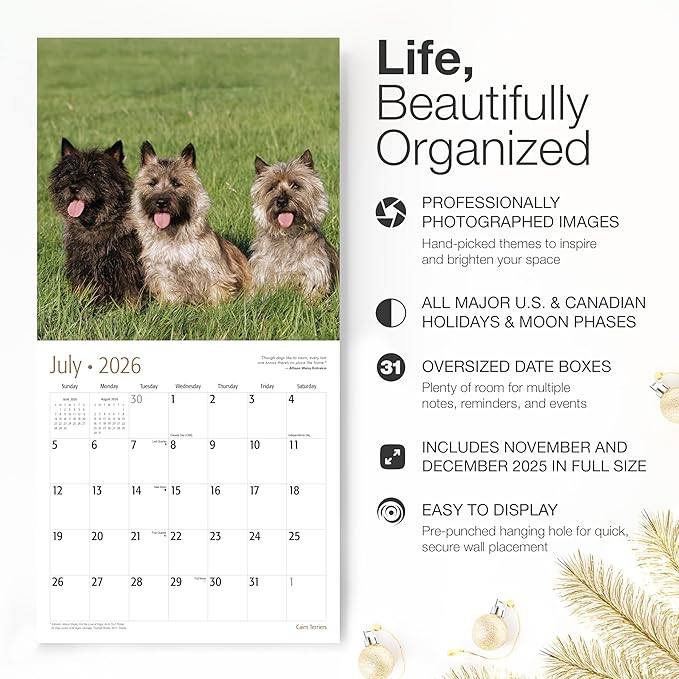 RED EMBER Cairn Terriers 2026 Wall Calendar 12 Month | 12" x 24" Open | Thick & Sturdy Paper | Holiday Gift | Cute Puppy Dog Calendar 2026