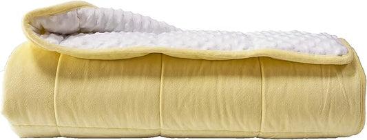 ALANSMA Reversible Weighted Blanket for All Season, Luxury Velvet, Warm and Cool, Adult 20Lb Yellow Weighted Blanket, Enjoy Sleeping Anywhere(Light Yellow,60"x80" 20lbs)