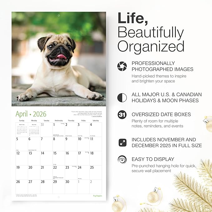 RED EMBER Pug Puppies 2026 Wall Calendar 12 Month | 12" x 24" Open | Thick & Sturdy Paper | Holiday Gift | Cute Puppy Dog Calendar 2026