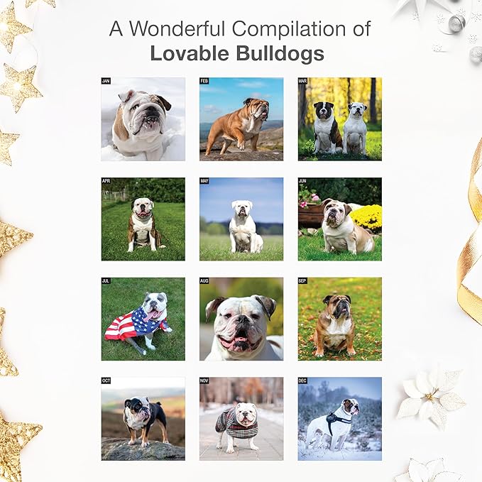 RED EMBER English and American Bulldogs 2026 Wall Calendar 12 Month | 12" x 24" Open | Thick & Sturdy Paper | Holiday Gift | Cute Puppy Dog Calendar 2026