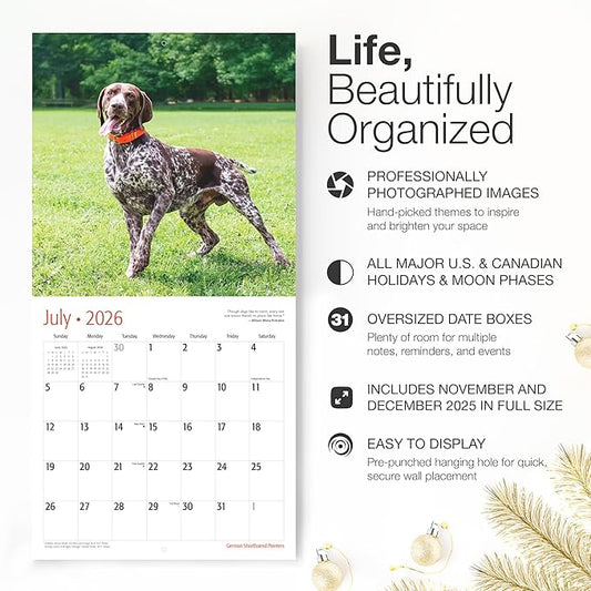 RED EMBER German Shorthaired Pointers 2026 Wall Calendar 12 Month | 12" x 24" Open | Thick & Sturdy Paper | Holiday Gift | Cute GSP Puppy Dog Calendar 2026